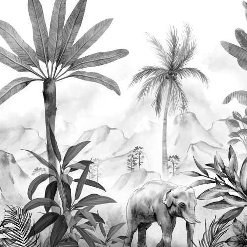 MGW Edition – The Black & White Jungle