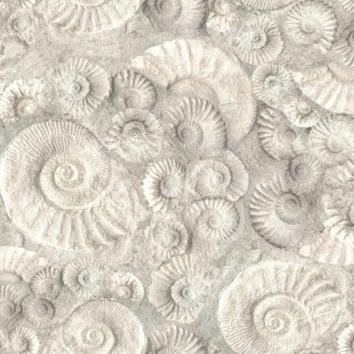 Sanctuary – Ammonite